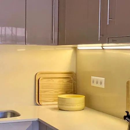 Apg Carrer Nou Atic Appartement