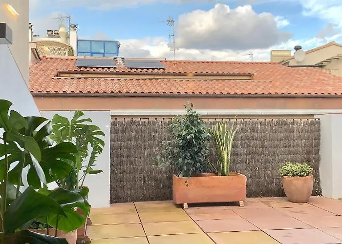 Apg Carrer Nou Atic *