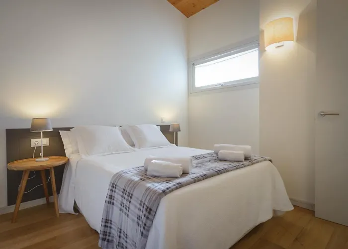 Apartment Apg Carrer Nou Atic