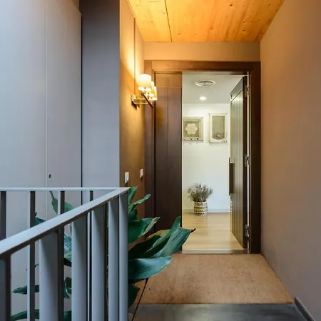 Apg Carrer Nou Atic * Girona