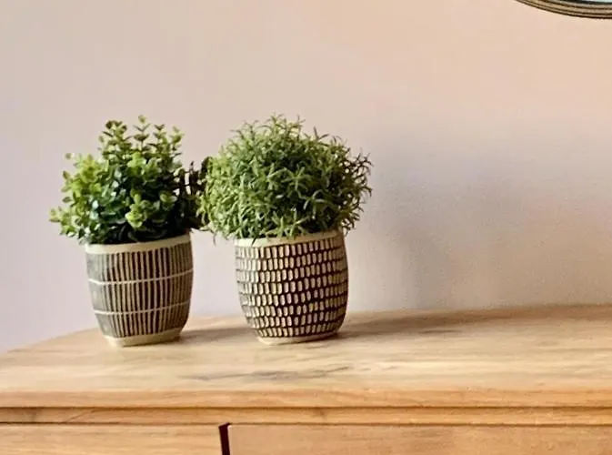 Appartement Apg Carrer Nou Atic Gérone