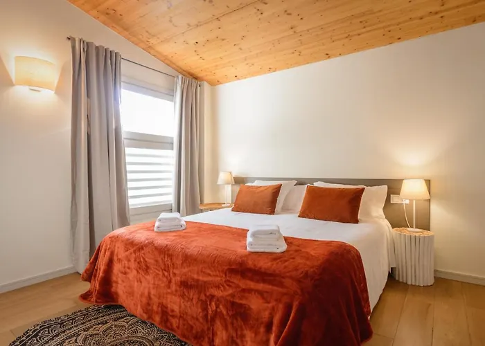 Apg Carrer Nou Atic Appartement *