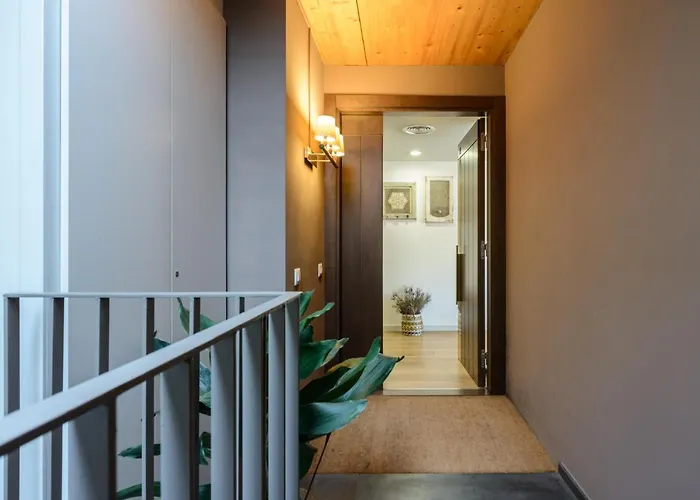 Apg Carrer Nou Atic * Gerona