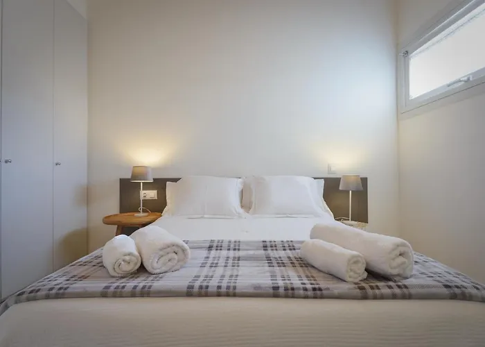 Apg Carrer Nou Atic * Girona